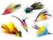 frenzyfireflyrefilla