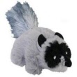 raccoon
