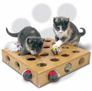 best cat toys for smart cats